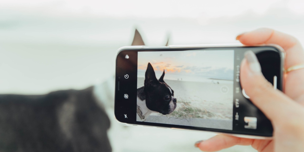 スマホでも一眼のような背景ボケ写真は撮れる ポイントは 距離