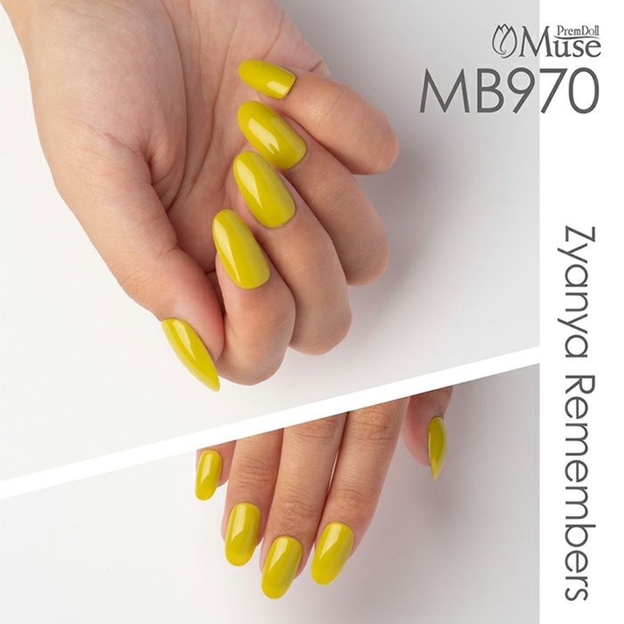 MB970】プリムドール ミューズ ブライス メキシカンライム | PREGEL