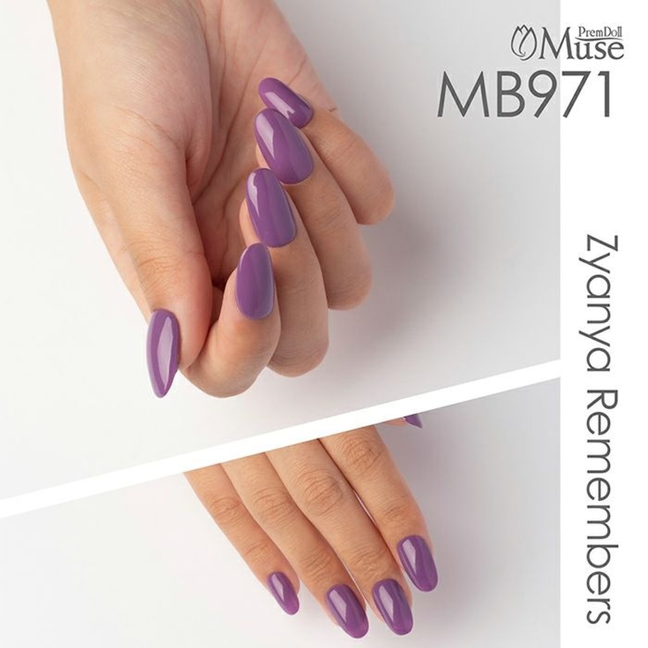 MB971】プリムドール ミューズ ブライス マリアッチカラベラ | PREGEL