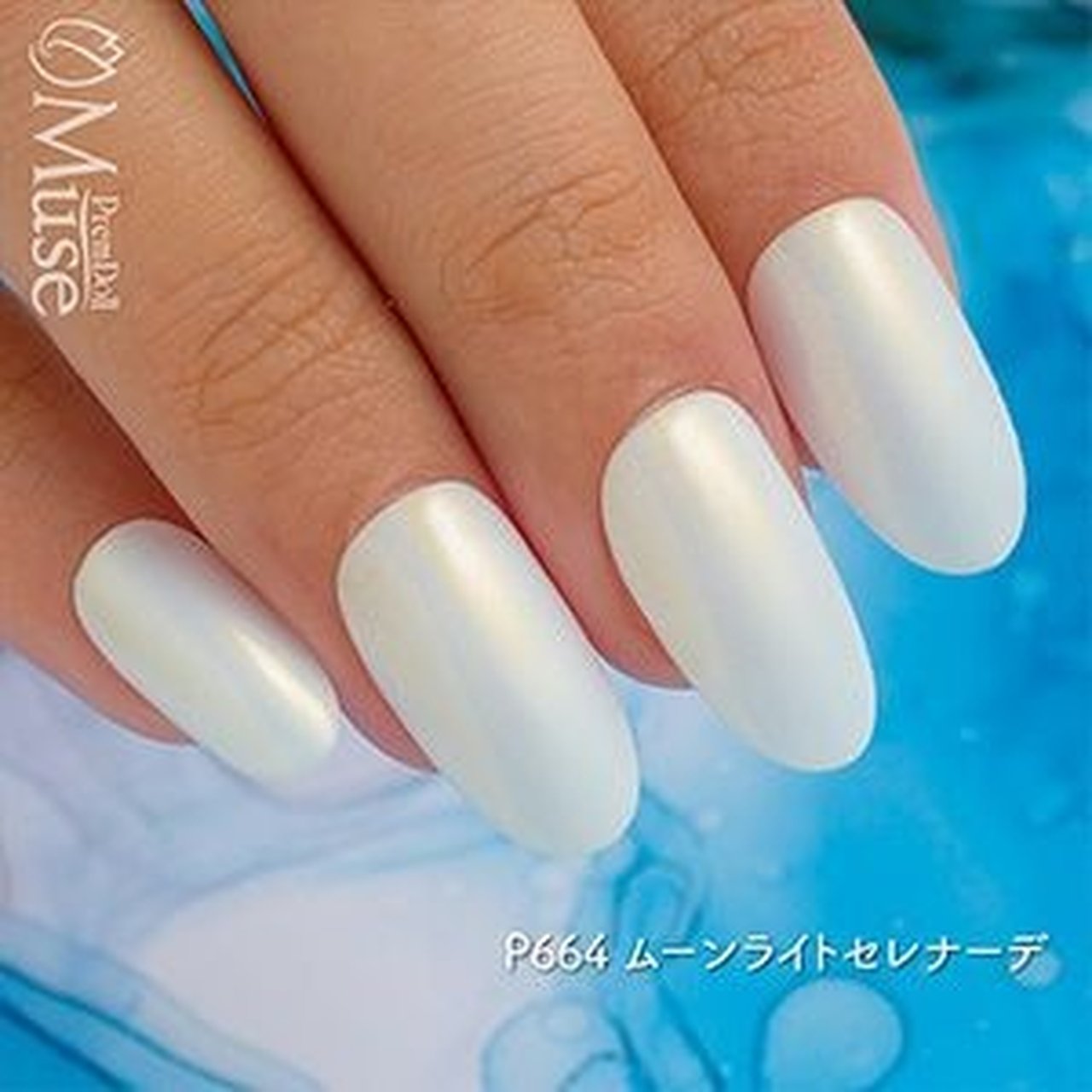 P664】プリムドール ミューズ ムーンライトセレナーデ | PREGEL
