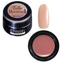 プリジェルカラージェル 楽天市場】【最大3％OFF】 プリジェル カラージェル PG-CEN109