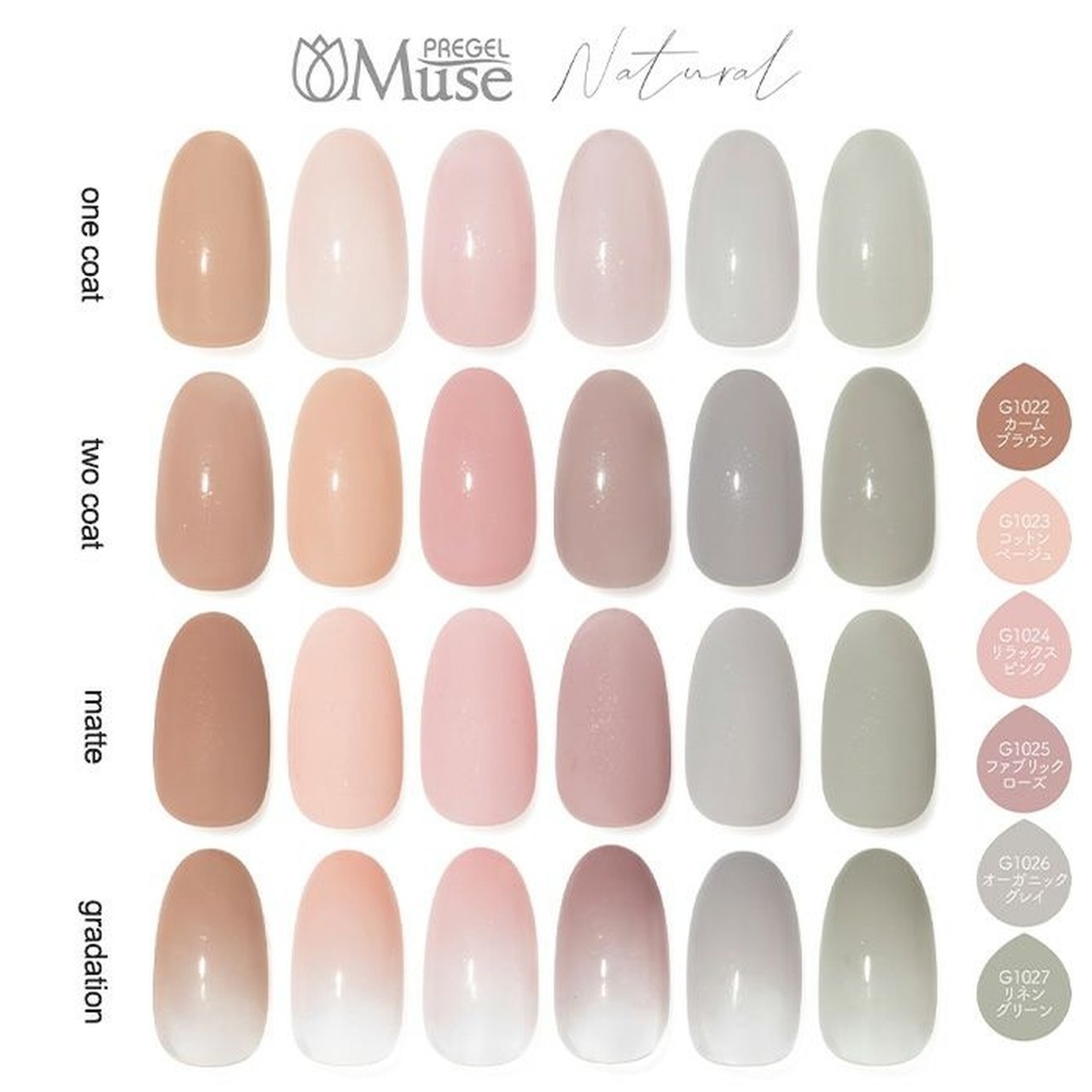 G1022】プリジェルミューズ カームブラウン | PREGEL（プリジェル