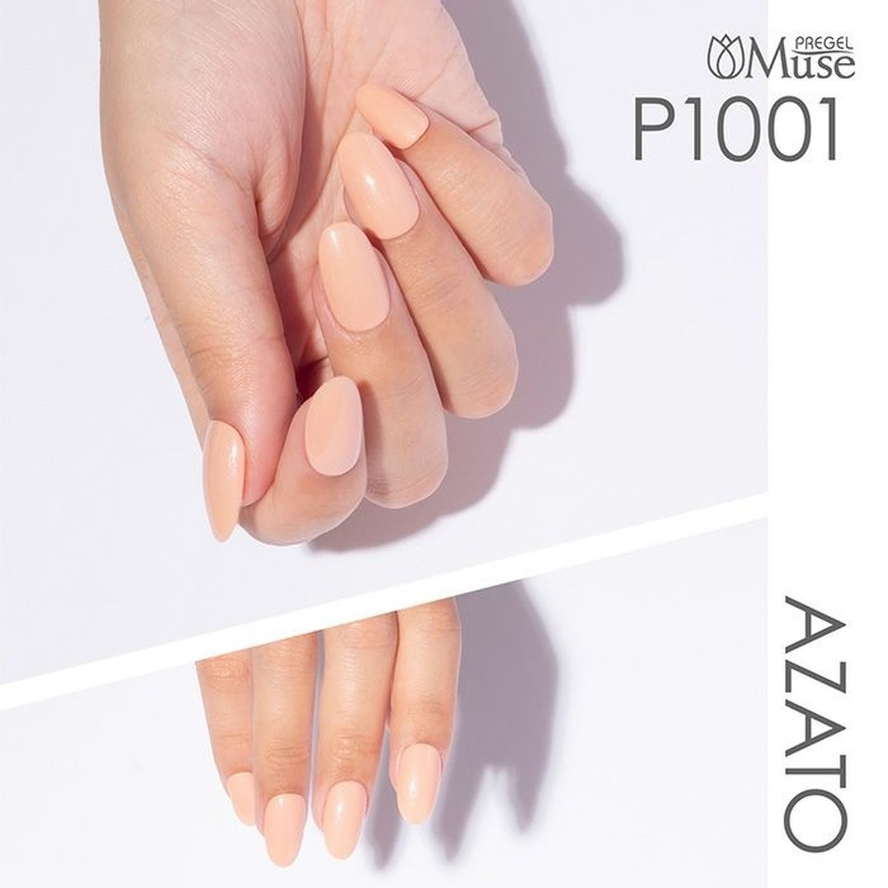 P1001】プリジェル ミューズ したたかアプリコット | PREGEL P1001】プリジェル ミューズ したたかアプリコット | PREGEL