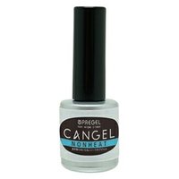 プリジェル グロッシートップ 15g | PREGEL（プリジェル） | ソフト