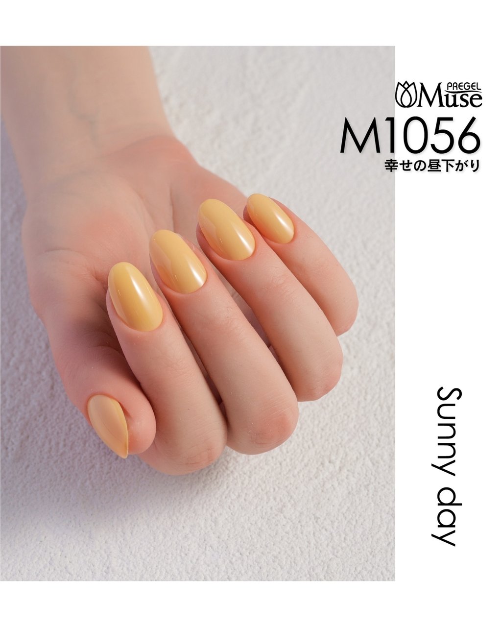 M1056】プリジェル ミューズ 幸せの昼下がり 3g | PREGEL（プリジェル