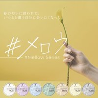 VETRO 27色セット 公式通販］ベトロ＆ベラフォーマジャパン名古屋