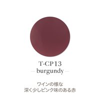 TOY's × INITY アクリルカラーパウダー ラフィームコレクション
