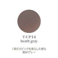 TOY's INITY アクリルパウダー　ラフィームコレクション TOY's×INITY | アクリルパウダー ラフィームコレクション