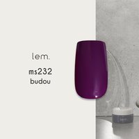 lem. キャンバスペイント 10色セット lem. カラージェル キャンバスペイント10色セット | Nail Labo