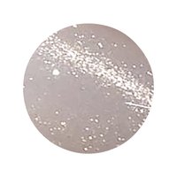 肌に溶け込む上品きらめき♡ICEGEL『GENTLEON ミストスター