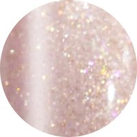 カルジェル 12Cノンワイプ スリーインワン ジェルポリッシュ 全12色