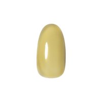 プリジェル カラーEX ステンドグラスシリーズ3g×6色セット