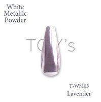 y⭐︎】TOY'S INITY クロムパウダーセット y⭐︎】TOY'S INITY