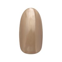 楽天市場】【限定特別価格!!!】ネイルパフェ マグネットジェル