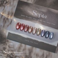 flicka nail arts フリッカマグジェル ドリーミーミスト