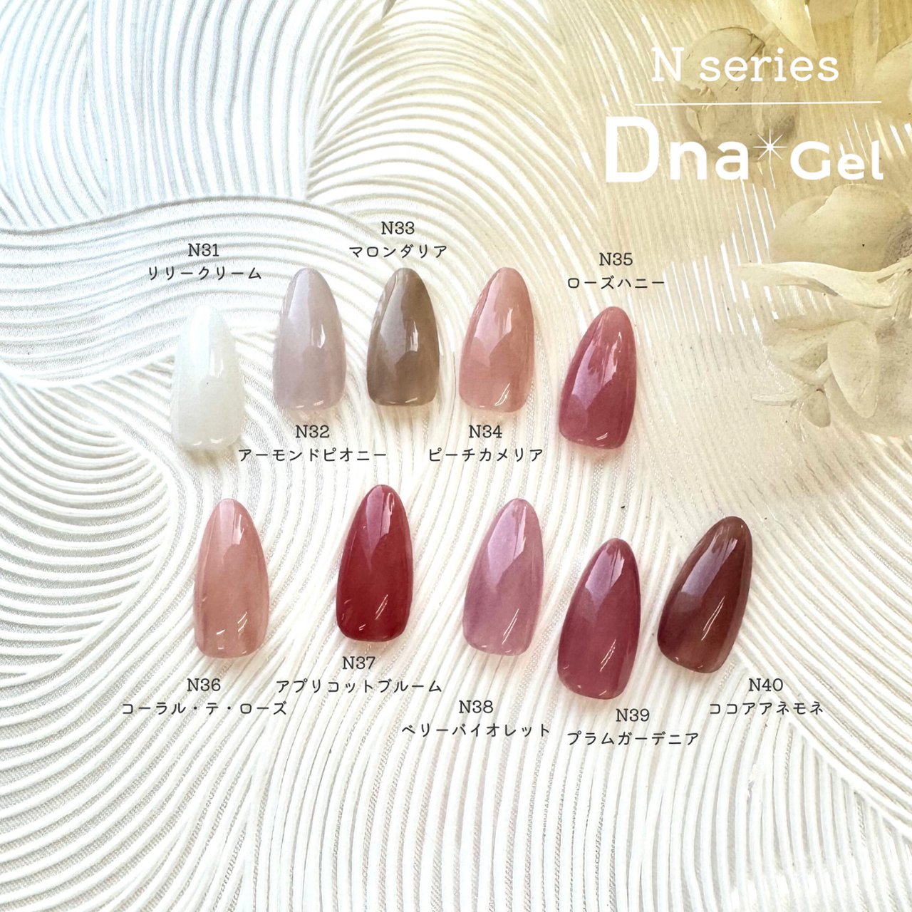 Dna Gel カラージェル N39 プラムガーデニア | Dna Gel（ディーナ 