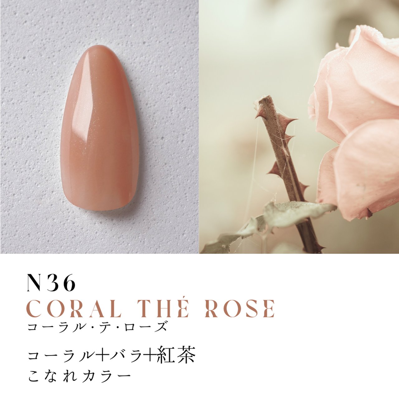 24時間限定タイムセール Dna Gel ボタニカルメロウ 10色シリーズ | Dna Gel（ディーナ ネイルベースコート・トップコート