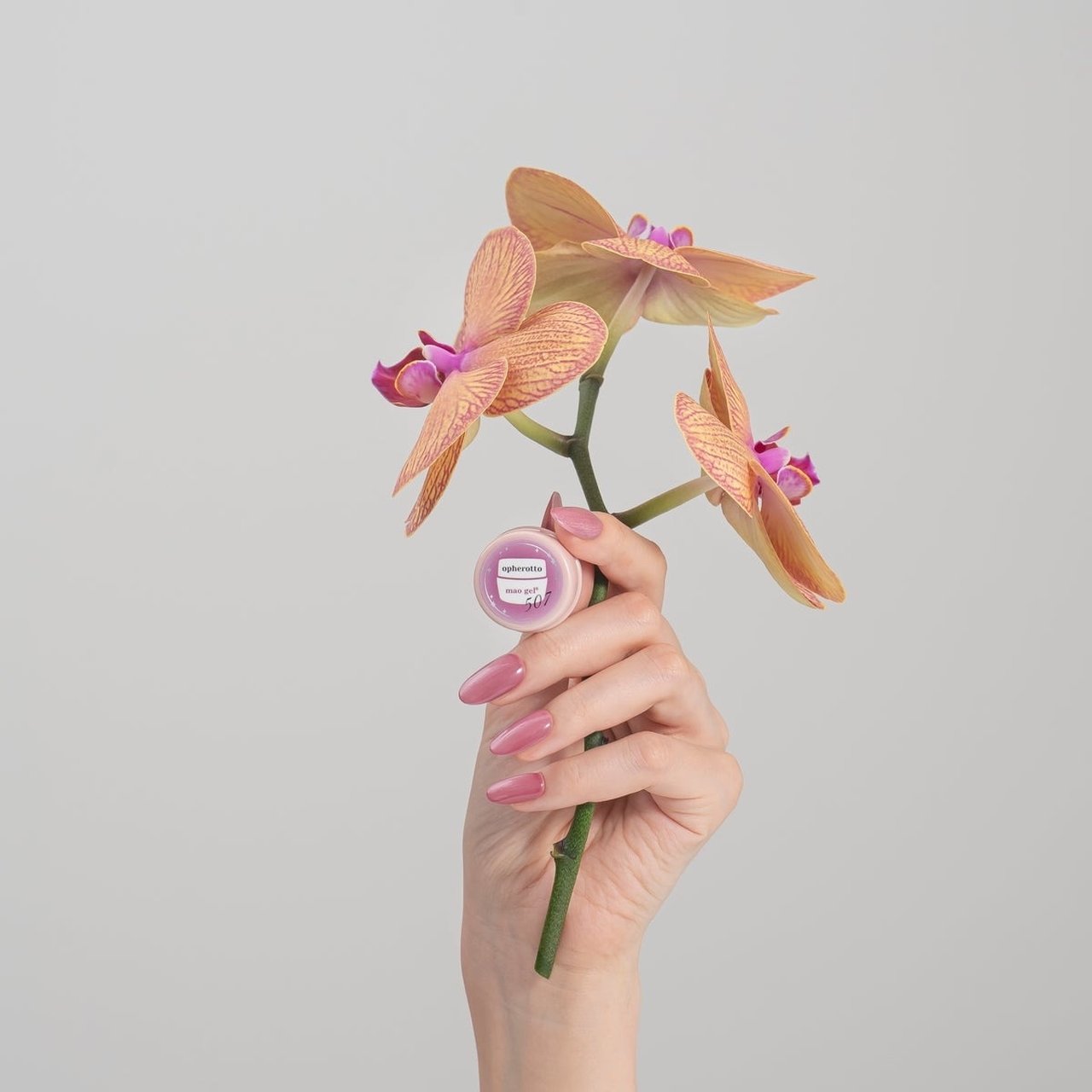 507 opherotto | mao nail | カラージェル | ネイルブックストア