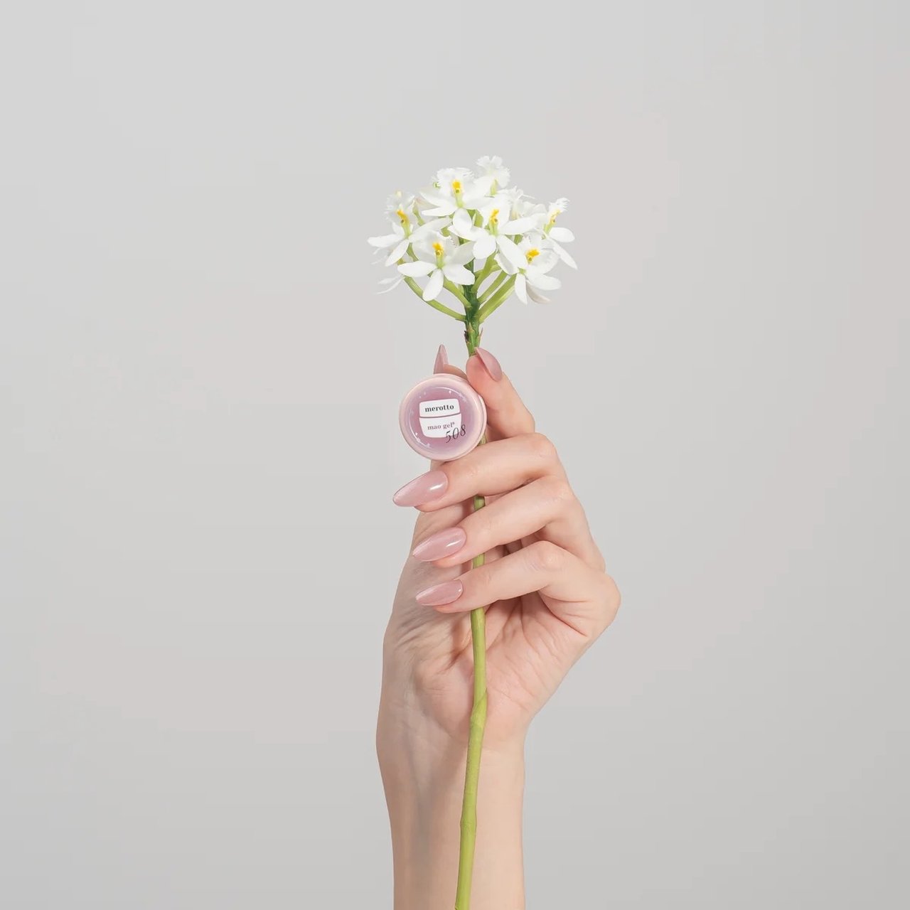 508 merotto | mao nail | カラージェル | ネイルブックストア