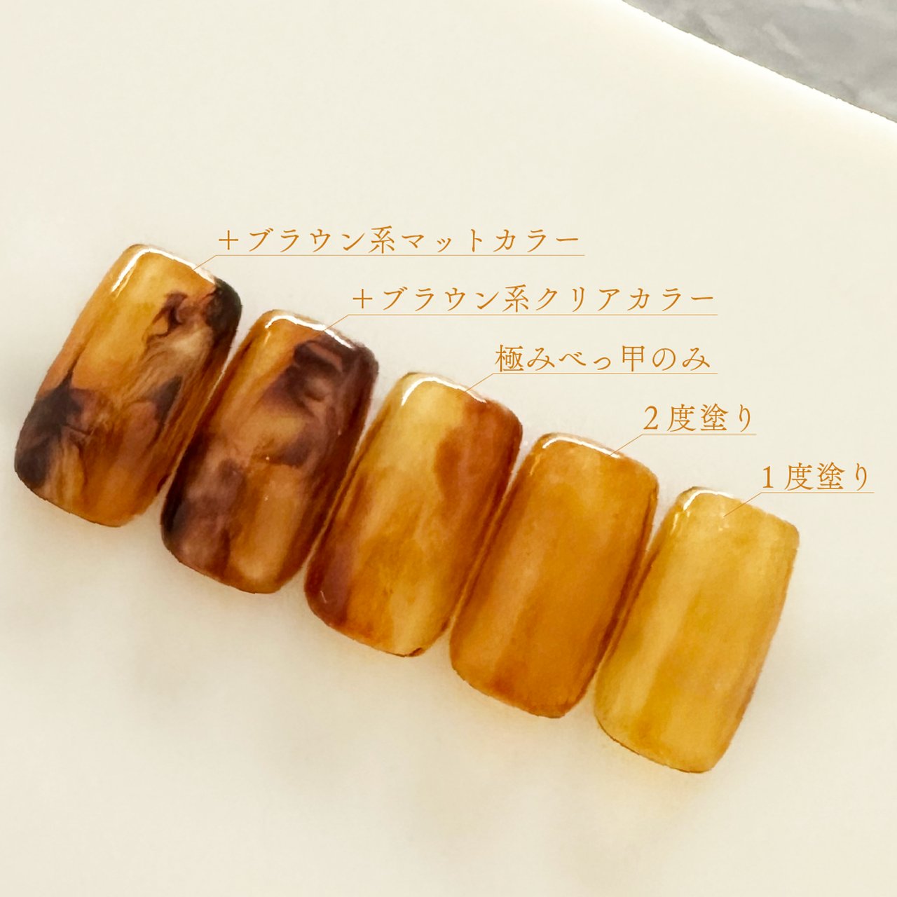 TOY＇s x INITY 極みべっ甲 | TOY's × INITY（トイズ