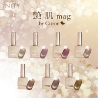 アイニティ ザパーフェクトフレンチコレクション10色セット | INITY