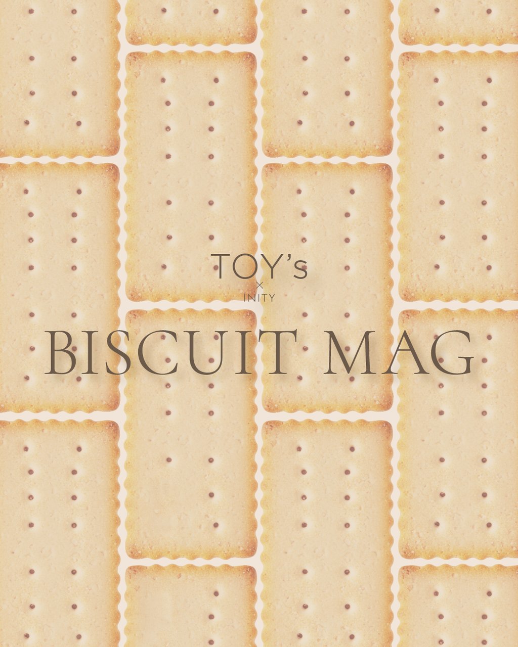 TOY＇s x INITY ビスケットマグ T－BM03 コムギ