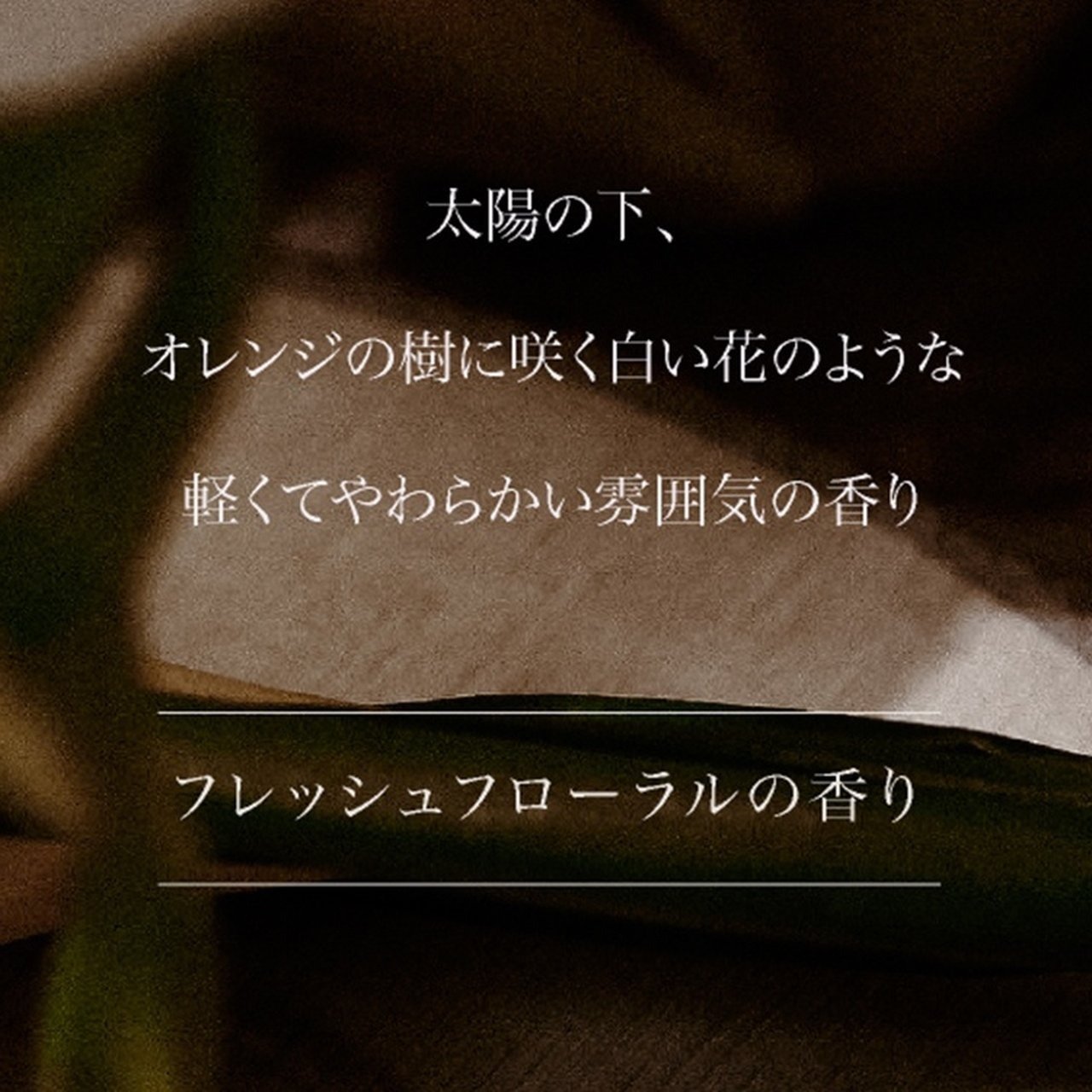 ARTiS di Voce ハッピーパフュームセット 3301 DEW OF NEROLI | ARTiS