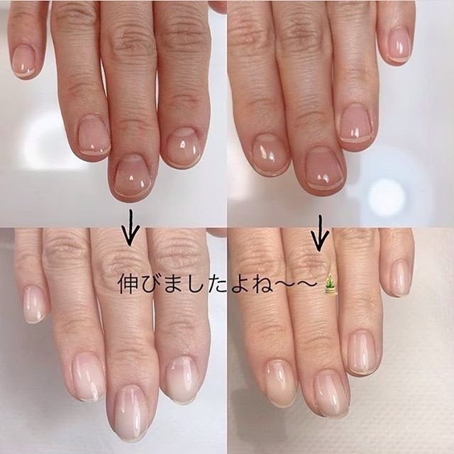 オールシーズン ブライダル パーティー デート ハンド Nail Gina