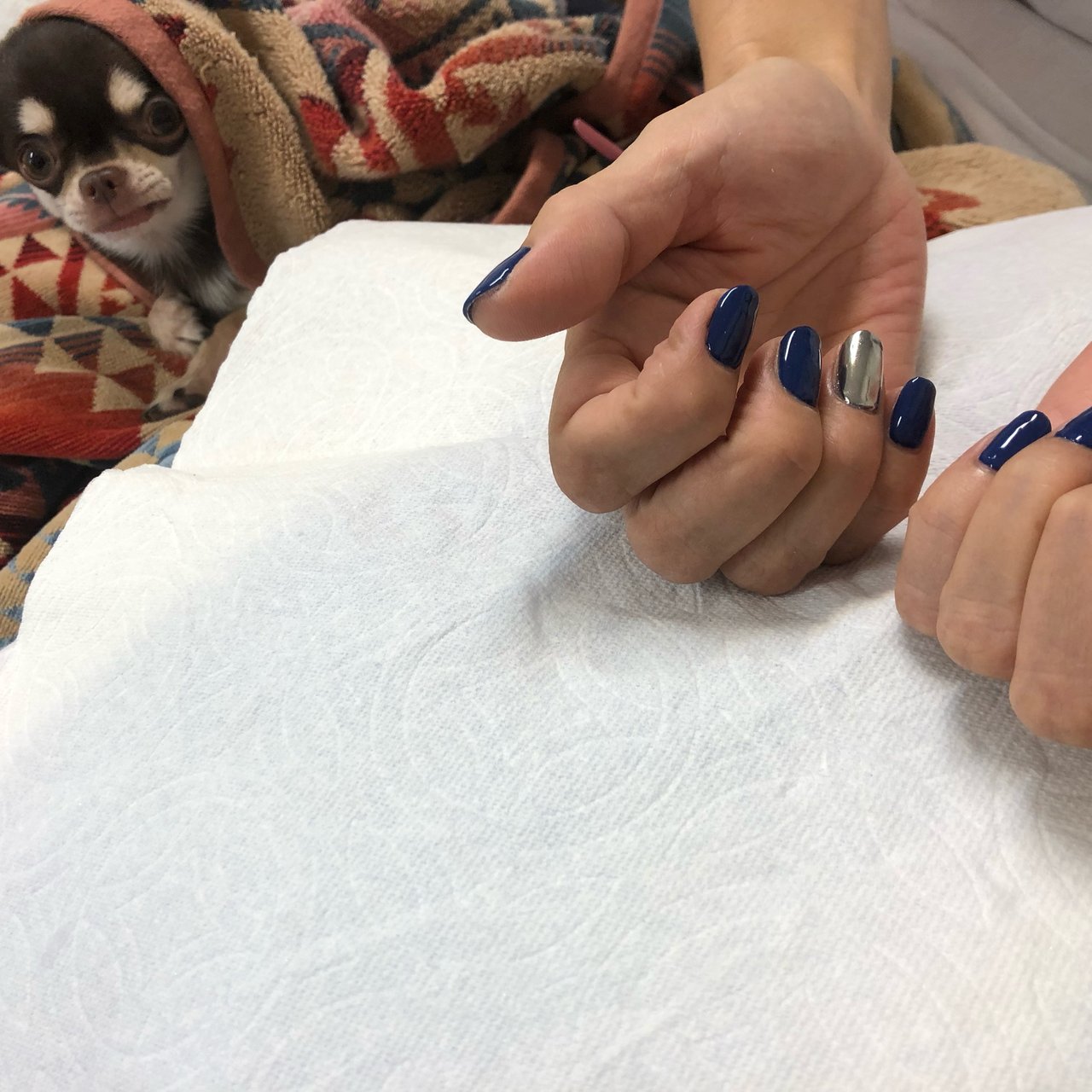 オールシーズン ハンド ネイビー シルバー ジェルネイル Fuwafuwa Takakoのネイルデザイン No ネイルブック