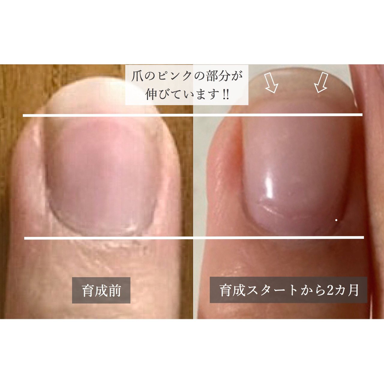 オールシーズン ハンド シンプル ショート クリア Arte M Nailのネイルデザイン No ネイルブック