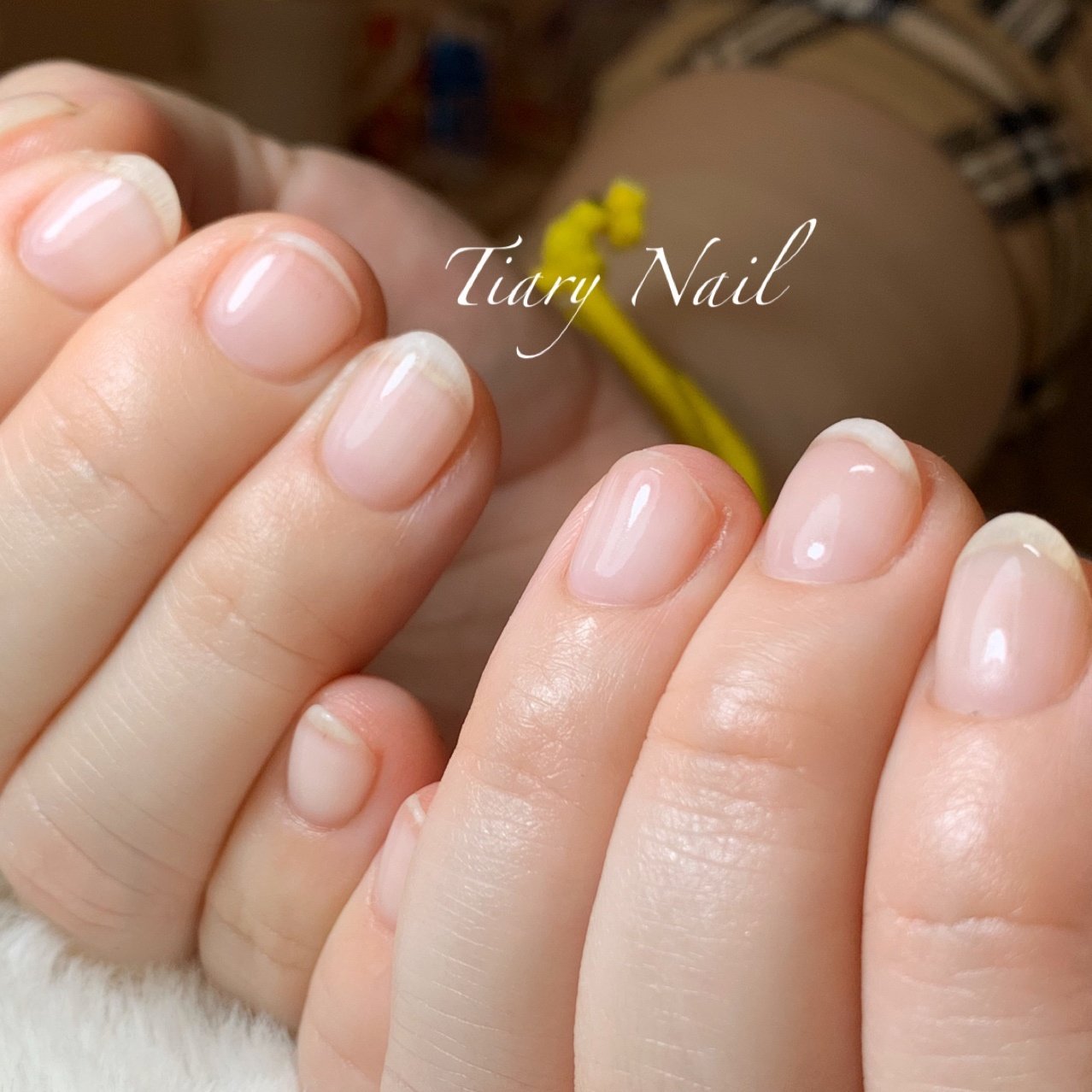 オールシーズン シンプル Tiarynail ティアリーネイルのネイルデザイン No ネイルブック