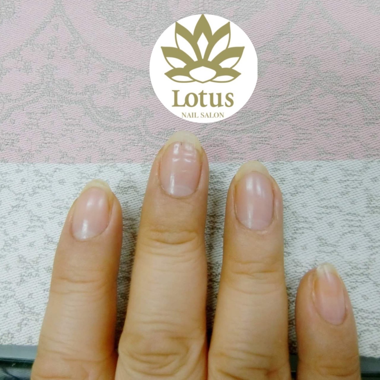 オールシーズン ハンド クリア お客様 Nail Salon Lotus ゆかのネイルデザイン No ネイルブック