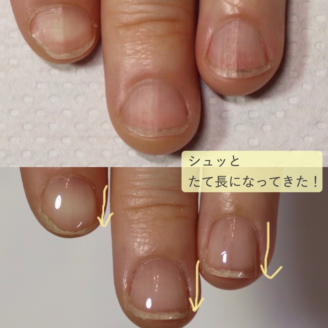 オールシーズン ハンド シンプル ショート クリア Arte M Nailのネイルデザイン No ネイルブック