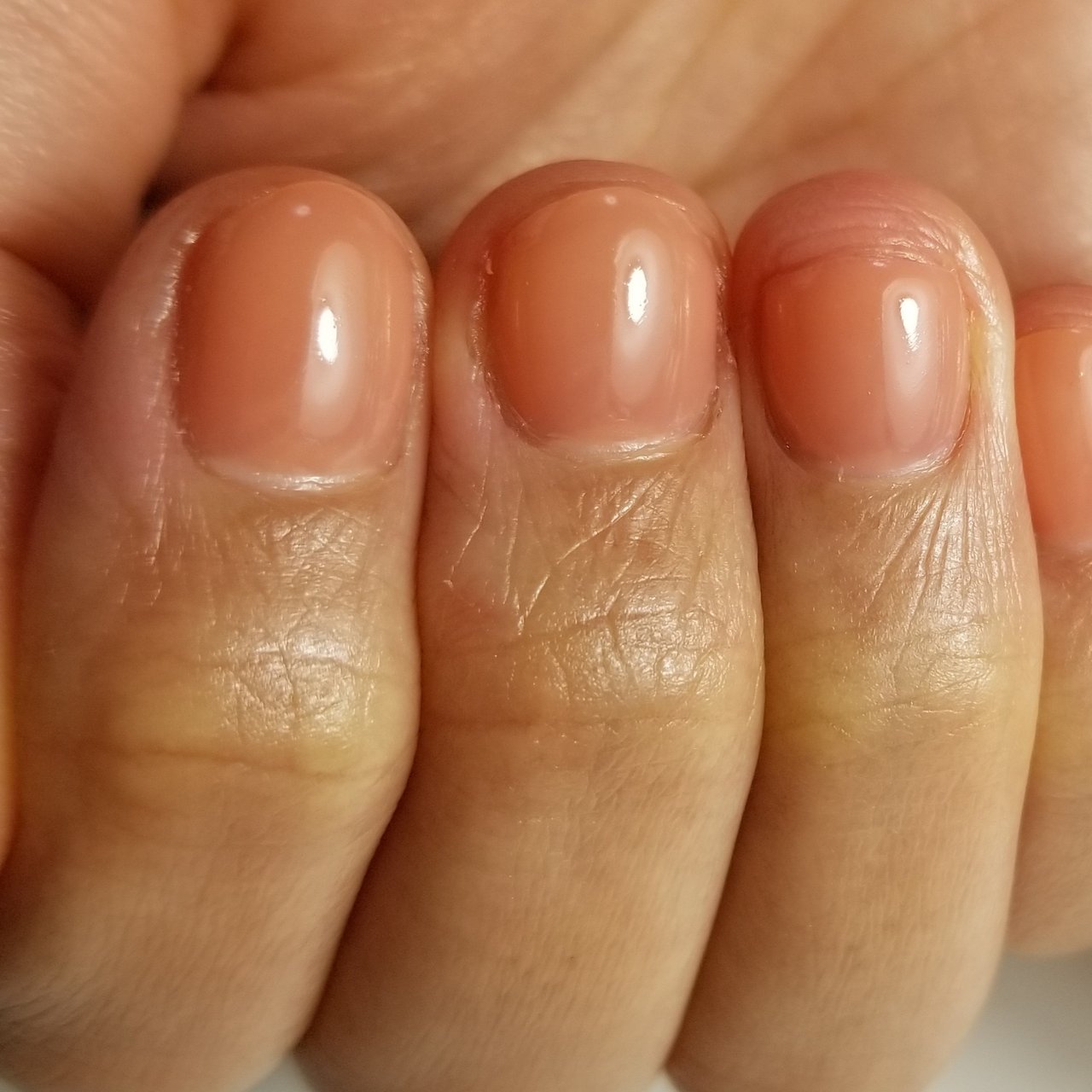 ハンド オレンジ Nailsalon Renatusのネイルデザイン No ネイルブック