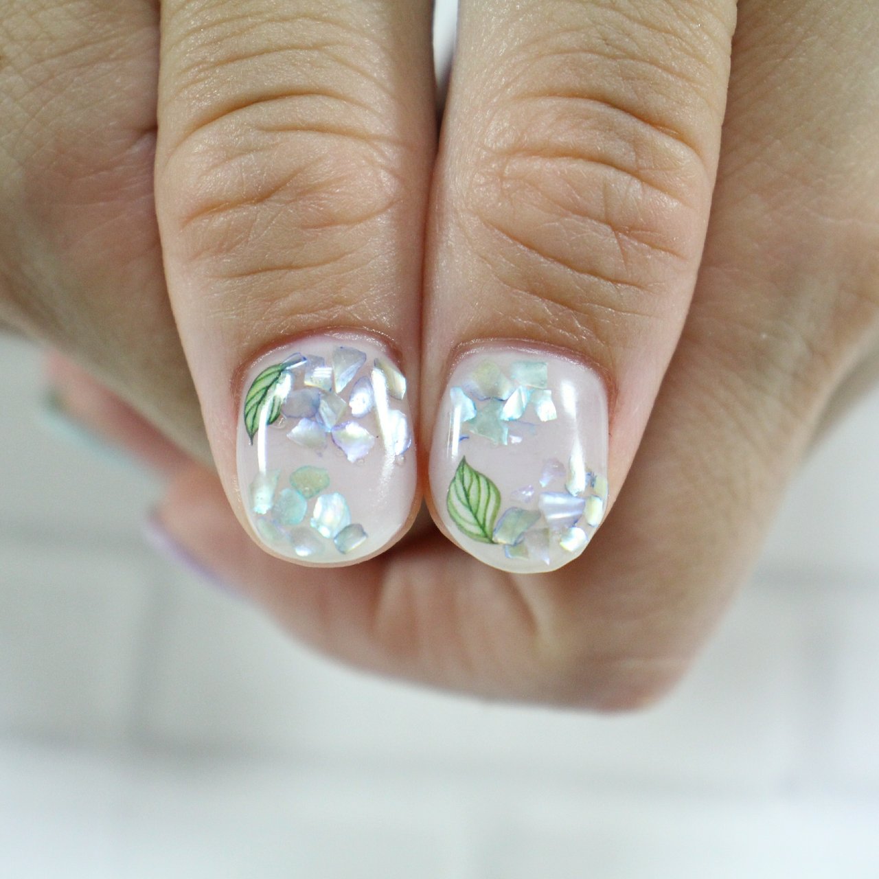 夏 梅雨 ハンド ワンカラー シェル Nail S Kishのネイルデザイン No ネイルブック