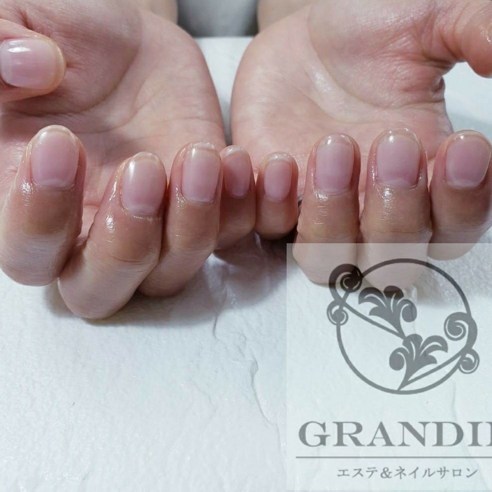 オールシーズン オフィス ハンド シンプル マット グランディールのネイルデザイン No ネイルブック