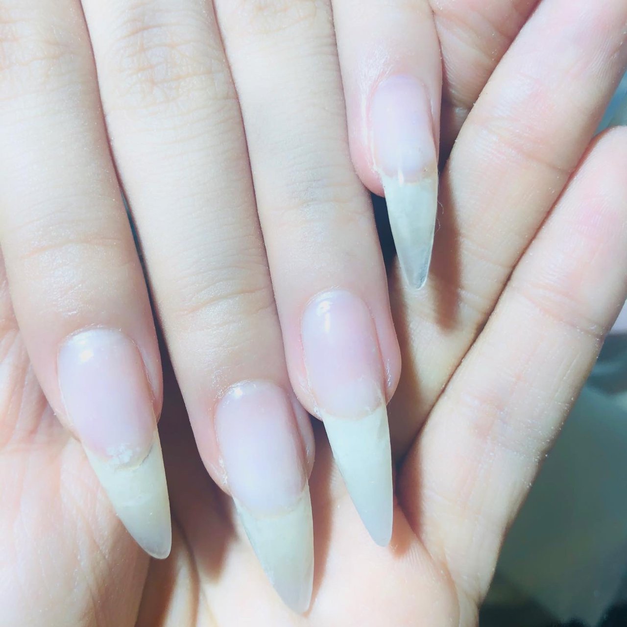 Regaloのネイルデザイン No ネイルブック