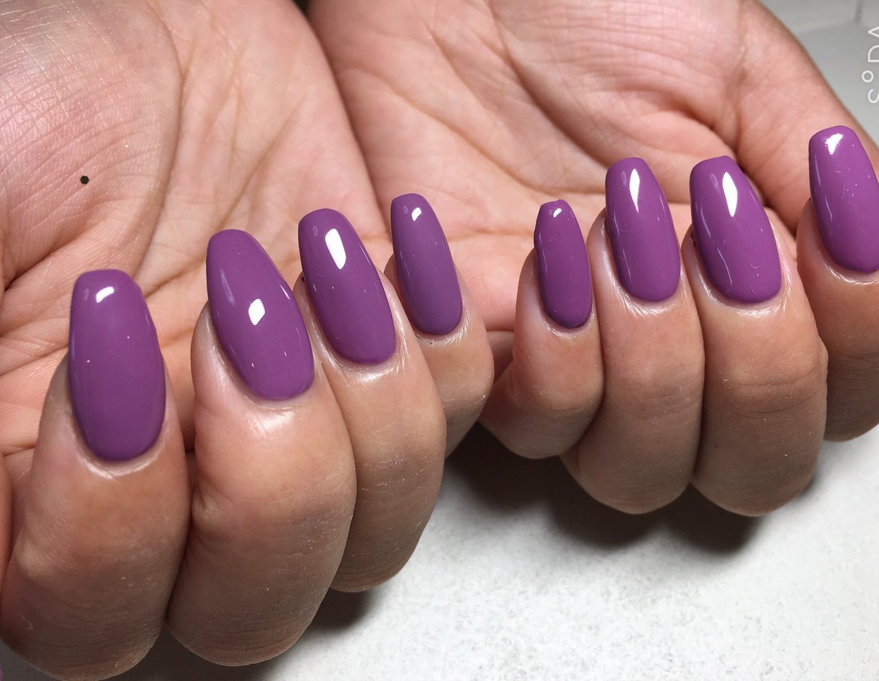 秋 ワンカラー パープル 半田市ネイルサロンresm リズム のネイルデザイン No ネイルブック