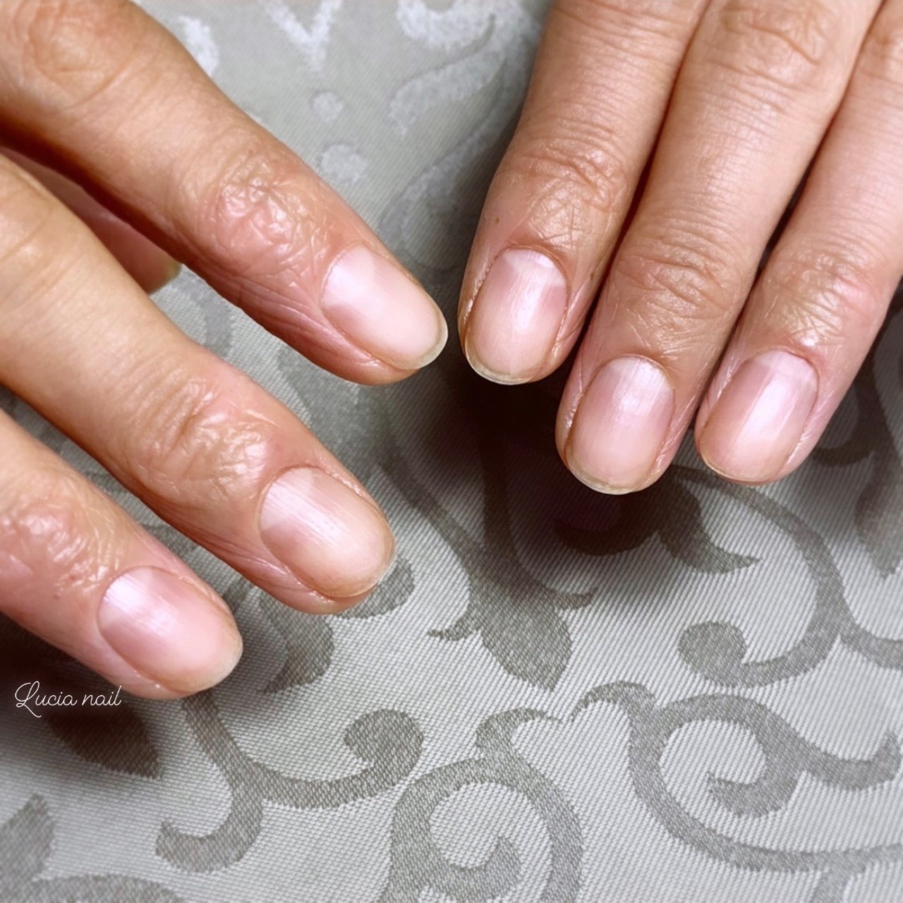 オールシーズン オフィス ハンド ショート お客様 Lucia Nailのネイルデザイン No ネイルブック