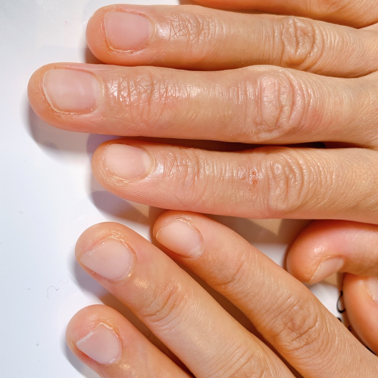 オールシーズン ハンド シンプル ショート クリア Tiedeur Nailのネイルデザイン No ネイルブック