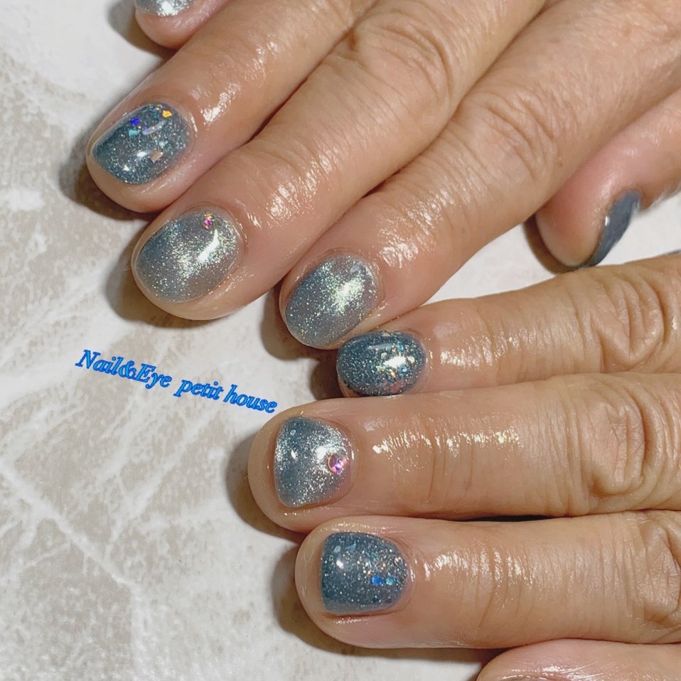 冬 ハンド ホログラム ラメ マグネット Nail Eye Petit Houseのネイルデザイン No ネイルブック