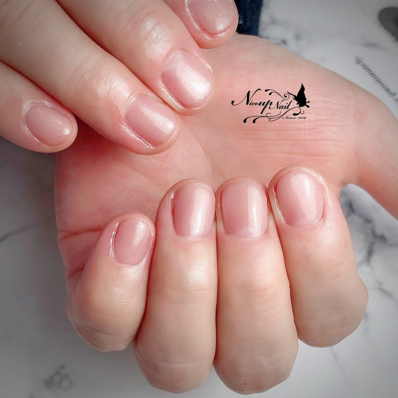 オールシーズン オフィス ハンド シンプル ショート Nico Up Nail ニコアップネイル のネイルデザイン No ネイル ブック