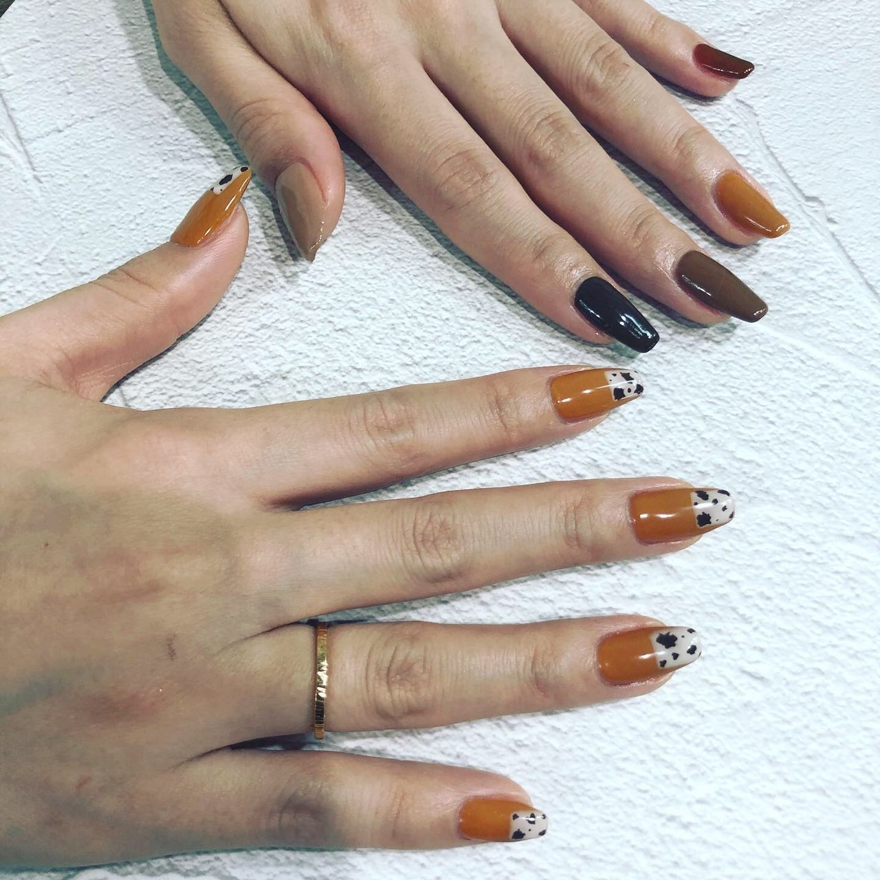 秋 冬 ハンド ワンカラー アニマル柄 ネイル アイラッシュterraのネイルデザイン No ネイルブック