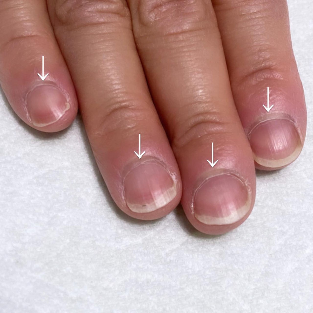 オールシーズン ハンド シンプル ショート お客様 Lipono Nail Ayaのネイルデザイン No ネイルブック