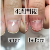 Nailsalon Venus 新潟のネイルサロン ネイルブック