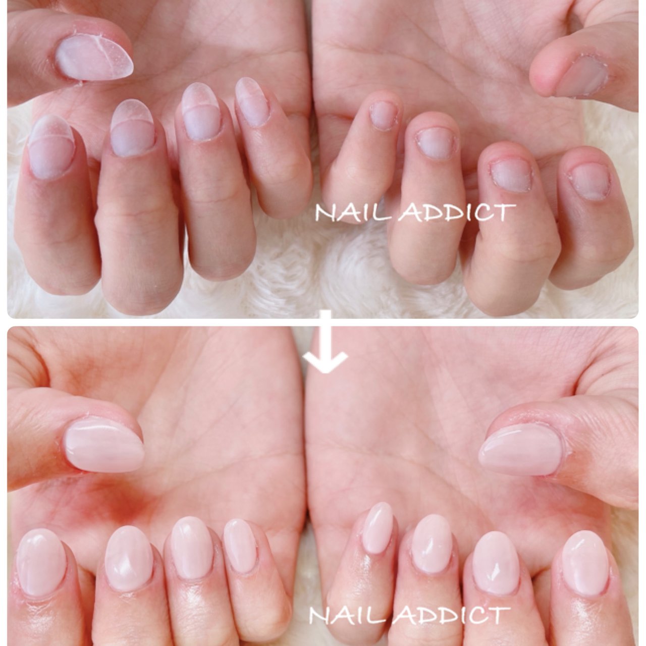 オールシーズン ハンド シンプル ワンカラー ショート Nail Addictのネイルデザイン No ネイルブック