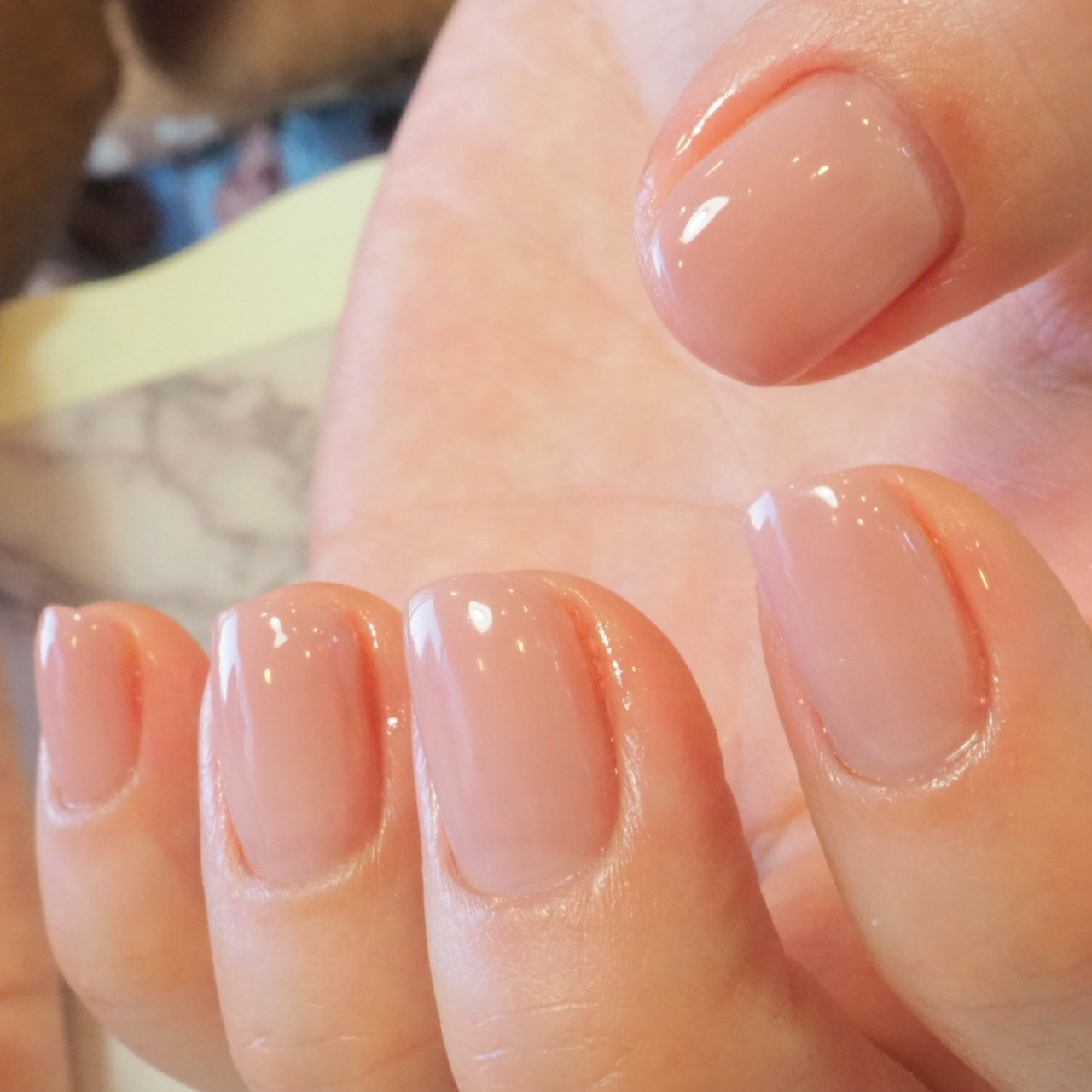 春 オールシーズン ハンド シンプル グラデーション Nailsalon Heavensのネイルデザイン No ネイルブック