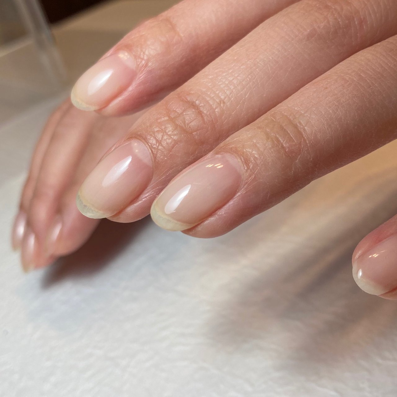 オールシーズン ハンド シンプル フレンチ グラデーション Nail Soi ネイルソイ のネイルデザイン No ネイルブック