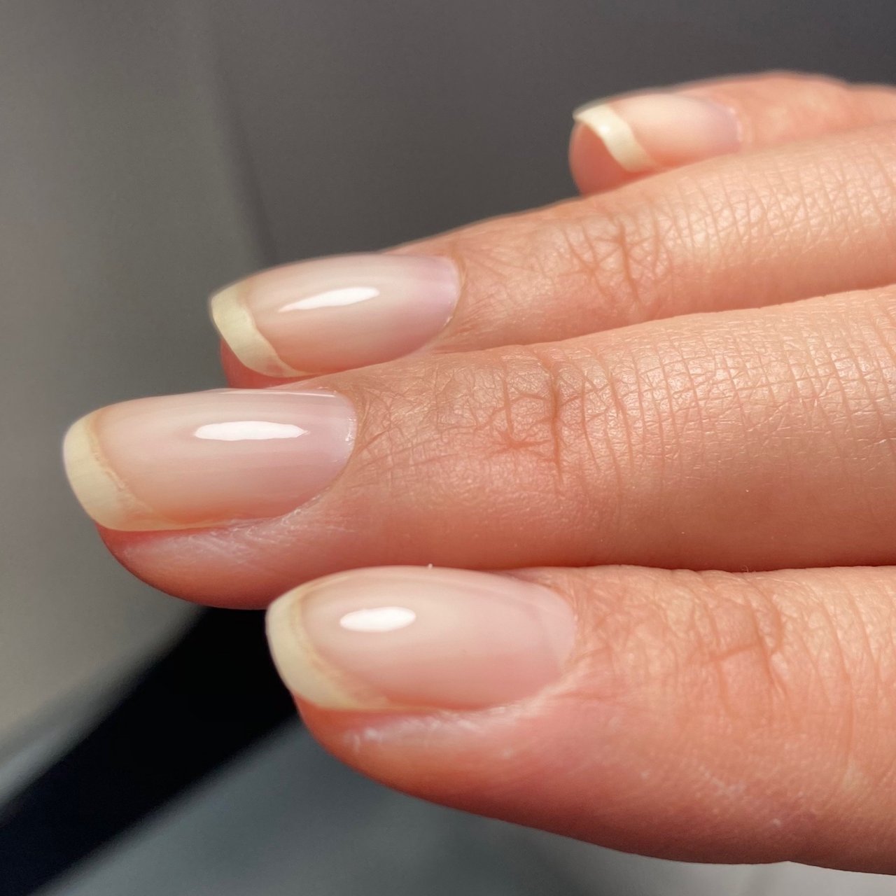オールシーズン ハンド シンプル フレンチ グラデーション Nail Soi ネイルソイ のネイルデザイン No ネイルブック
