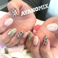 トイプードルのネイルデザイン ネイルブック